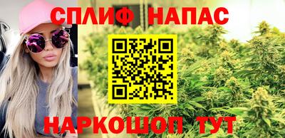 сатива Можайск