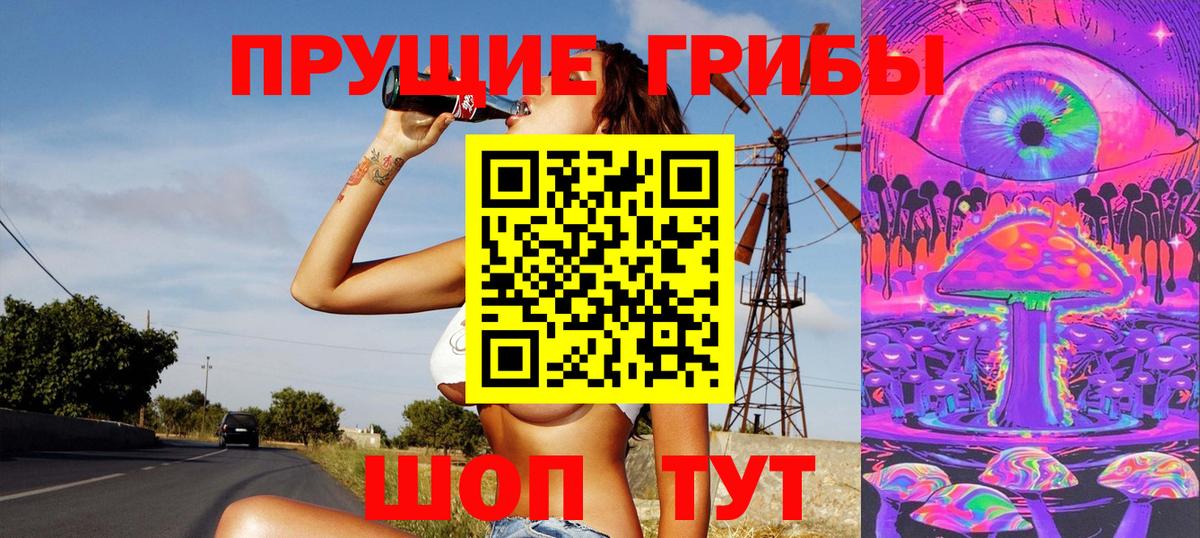 продажа наркотиков  Вход с VPN  Псилоцибиновые грибы прущие грибы  Оренбург  Псилоцибиновые грибы Cubensis 