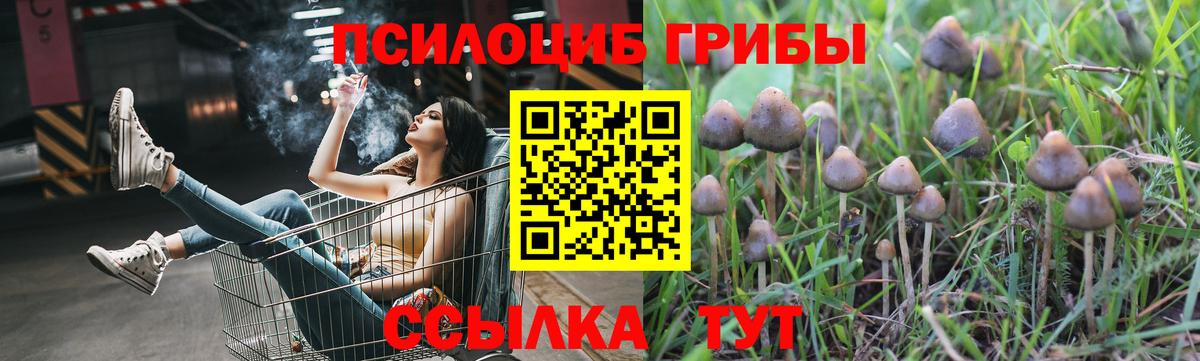 Псилоцибиновые грибы мицелий Оренбург